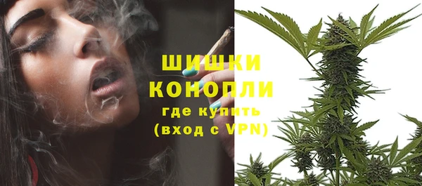 спайс Алзамай