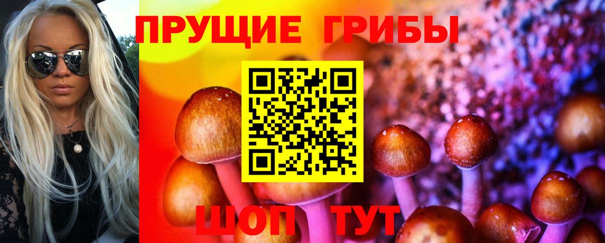 Псилоцибиновые грибы Psilocybine cubensis Аргун